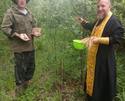 Заложен новый сад